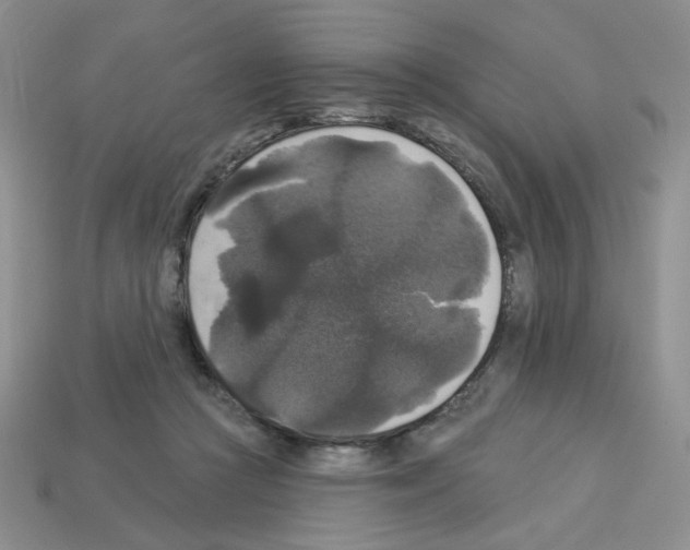 X0000112960361200910081051