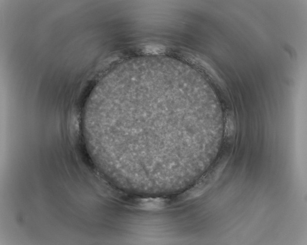 X0000112960363200910081051