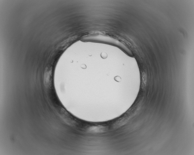 X0000112960364200910081051