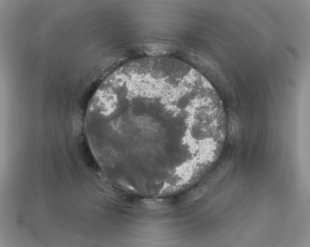 X0000112960367200910081051