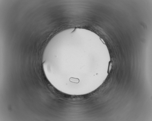 X0000112960368200910081051