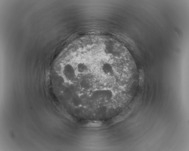 X0000112960369200910081051