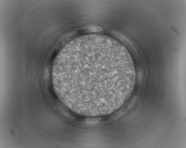 X0000112960373200910081051