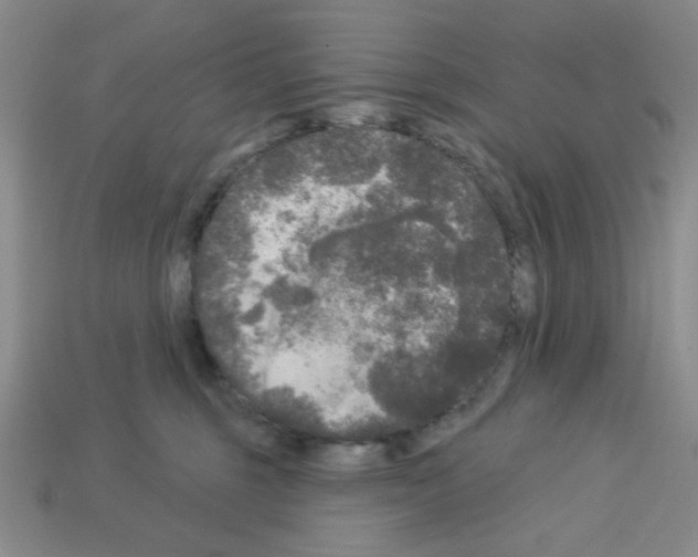 X0000112960375200910081051