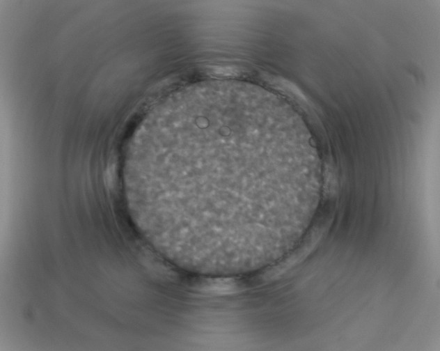 X0000112960377200910081051