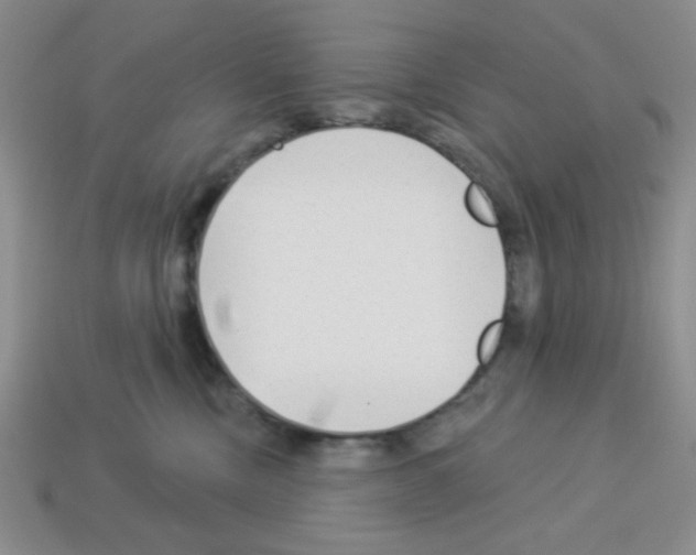 X0000112960378200910081051