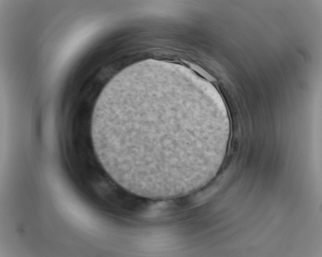 X0000112960382200910081051