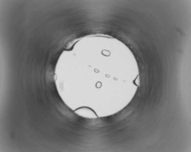 X0000112960384200910081051