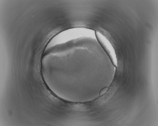 X0000112960385200910081050