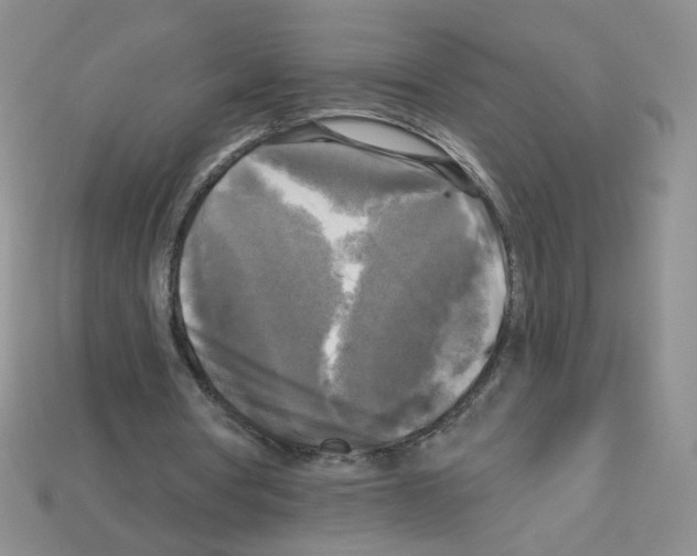 X0000112960386200910081050