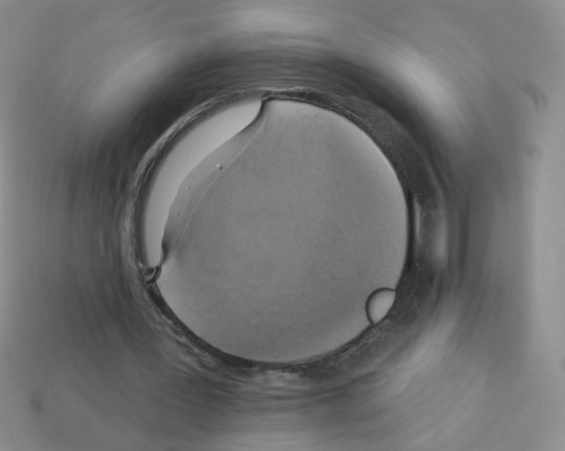 X0000112960387200910081050