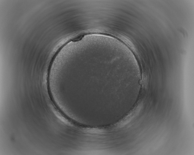 X0000112960389200910081050