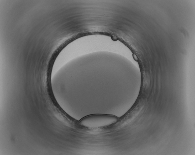 X0000112960391200910081050