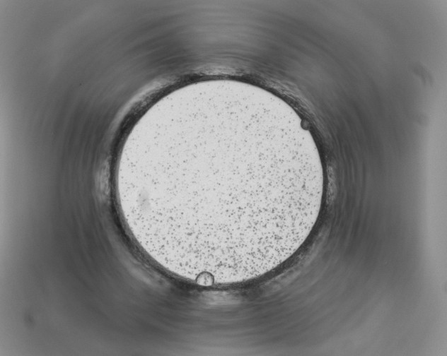 X0000112960392200910081050