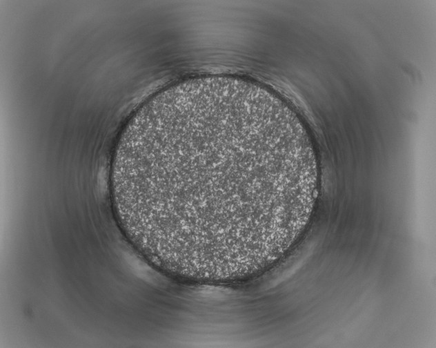 X0000112960393200910081050