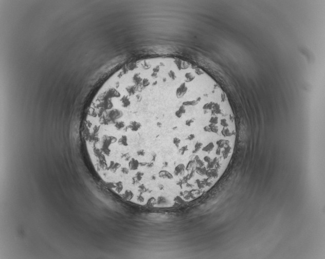 X0000112960394200910081050