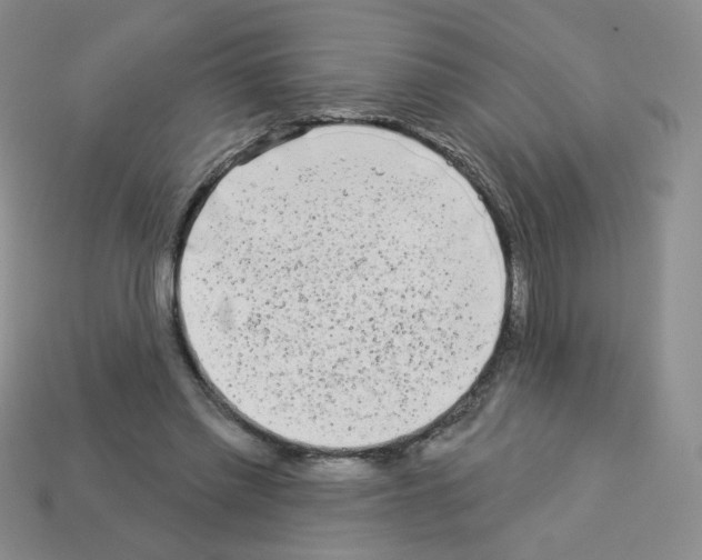 X0000112960397200910081050