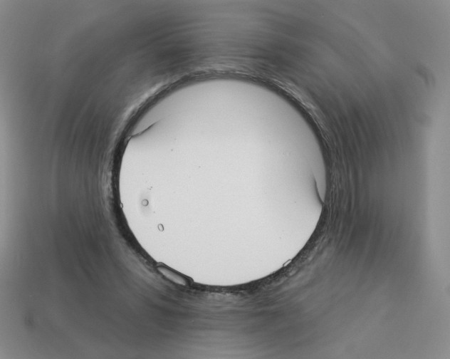 X0000112960399200910081050