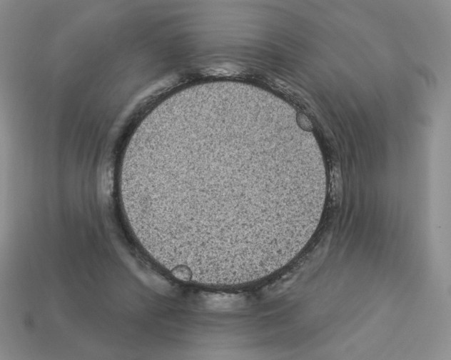 X0000112960400200910081050