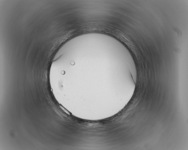 X0000112960401200910081050