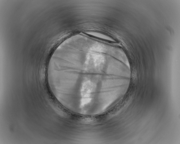 X0000112960402200910081050