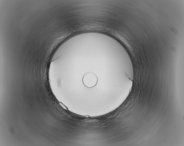 X0000112960403200910081050