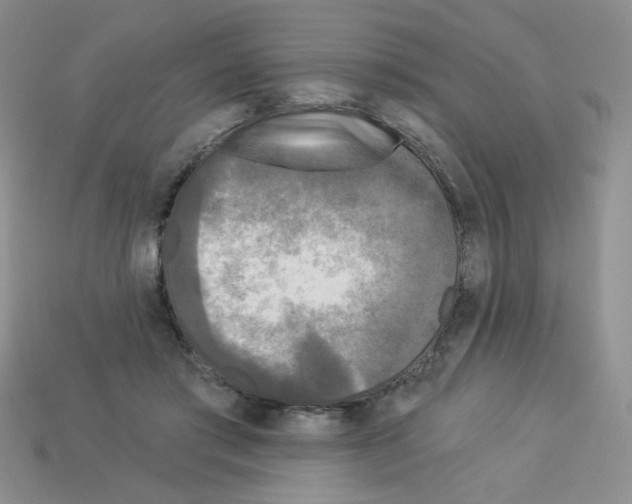 X0000112960405200910081050