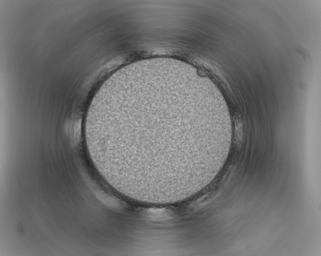 X0000112960406200910081050