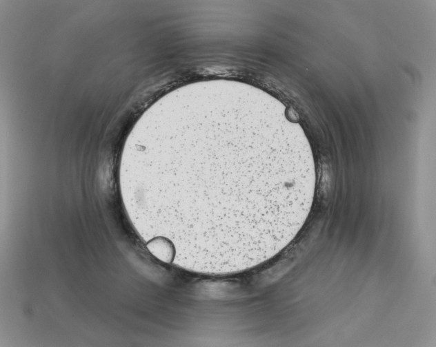 X0000112960408200910081050