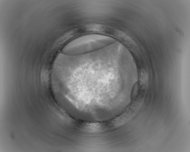 X0000112960409200910081050