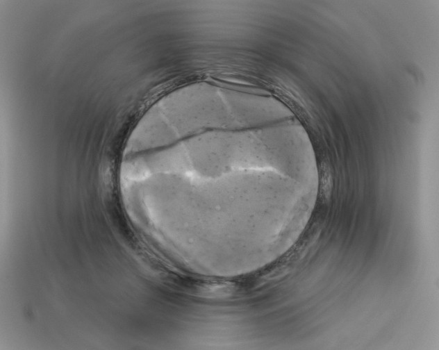 X0000112960410200910081050