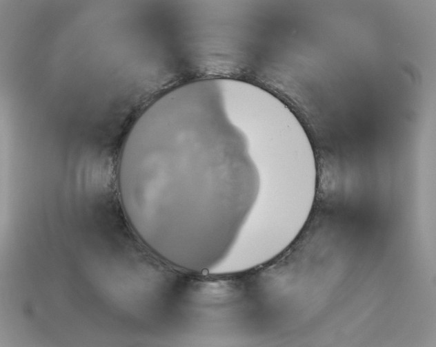 X0000112960411200910081050