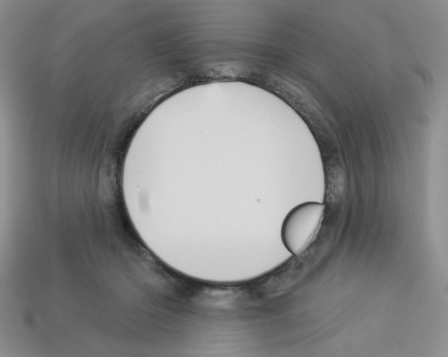 X0000112960414200910081050