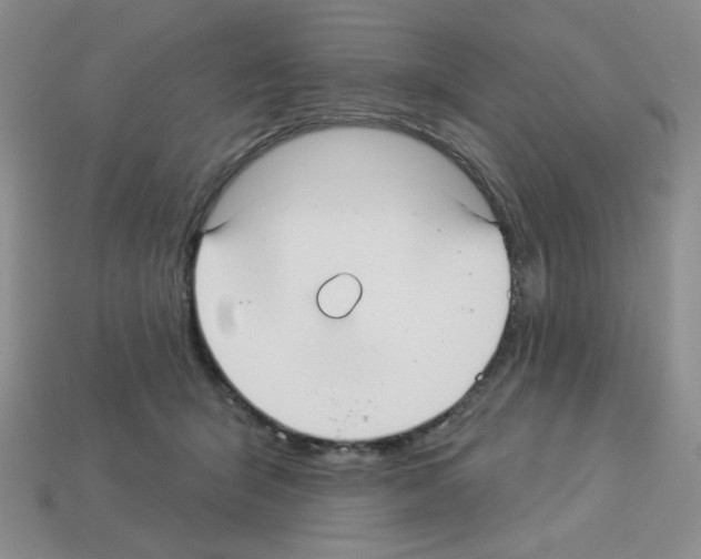 X0000112960415200910081050