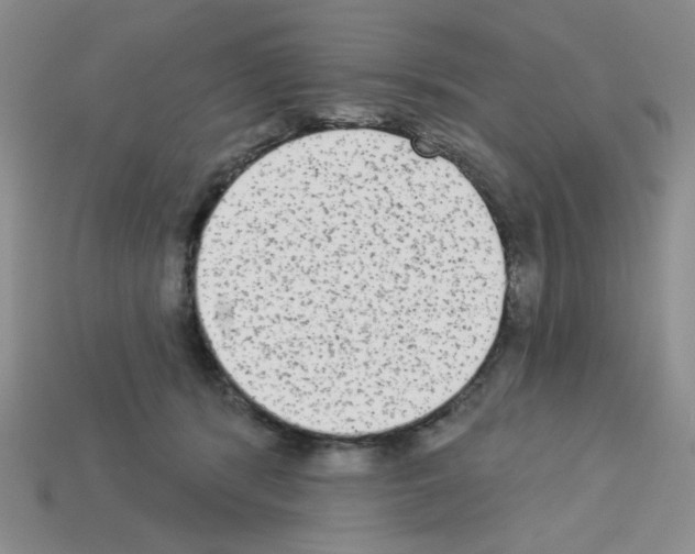 X0000112960416200910081050