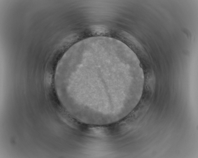 X0000112960417200910081050