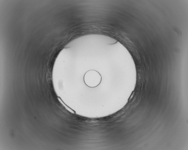 X0000112960419200910081050