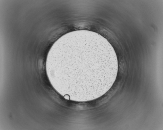 X0000112960420200910081050