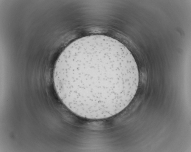 X0000112960422200910081050