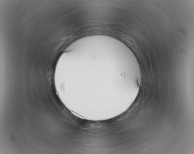 X0000112960423200910081050