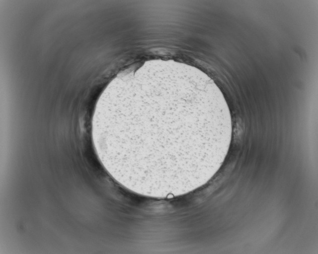 X0000112960424200910081050