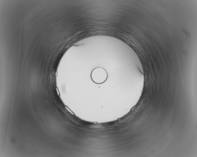 X0000112960425200910081050