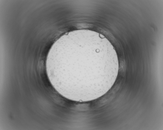 X0000112960426200910081050