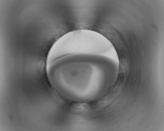 X0000112960427200910081050