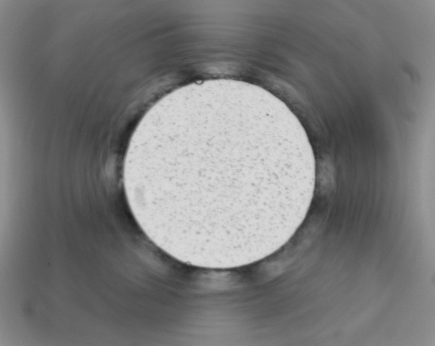 X0000112960428200910081050