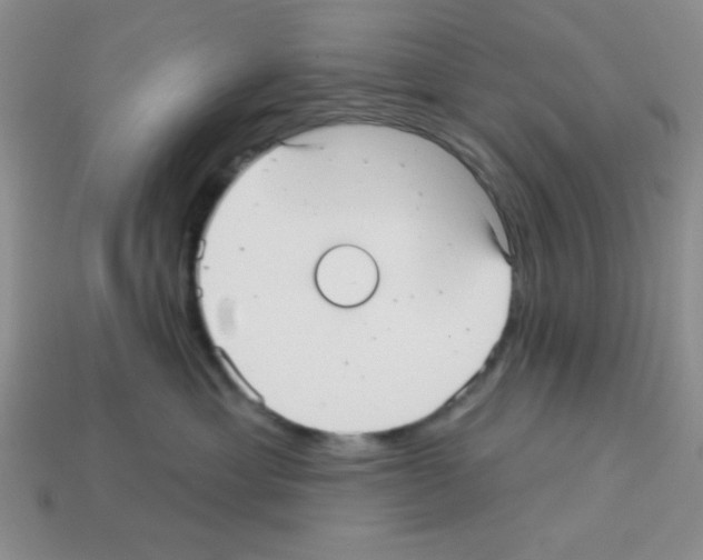 X0000112960429200910081050