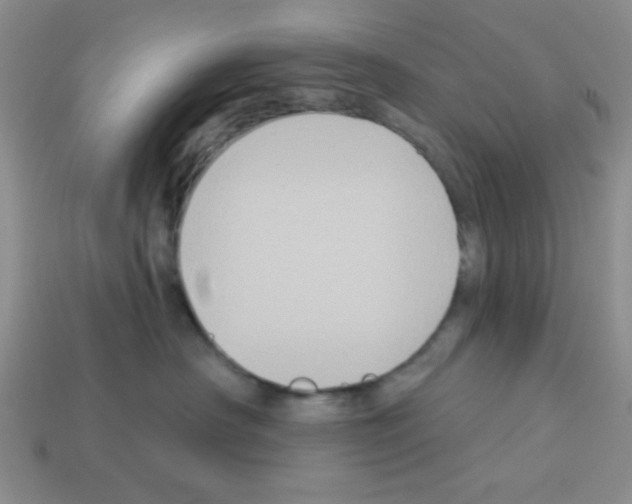 X0000112960430200910081050