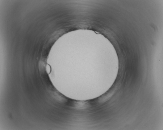 X0000112960432200910081050