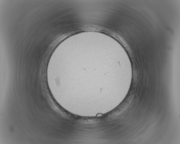 X0000112960433200910081049