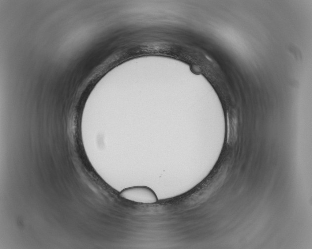 X0000112960435200910081049